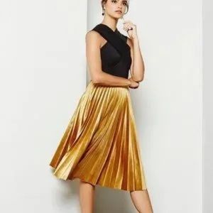 Velvet accordion Gianni Bini skirt. XS. Worn.